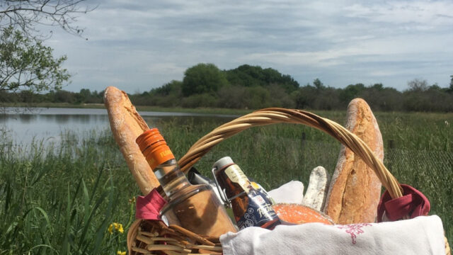 90a1f2_dc96162cfc82438693e2e8fd5670f575~mv2