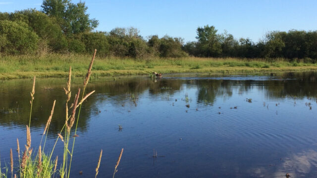 90a1f2_fd2f71b09943451b93072898e660e7e7~mv2