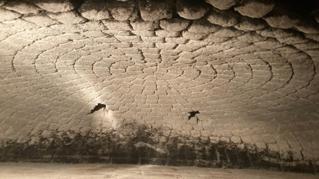 f48693_548beab92444468686dc335c558cc8b7~mv2